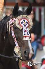 Indiánská uzdečka Crow