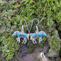 Stříbrné náušnice koníci