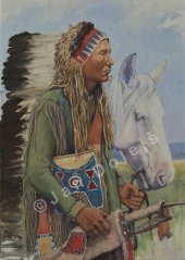 Plakát Comanche