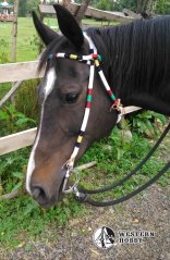 Indiánská uzdečka Prérie