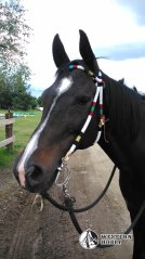 Indiánská uzdečka Prérie