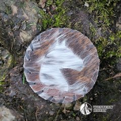 Kožený podtácek - horse